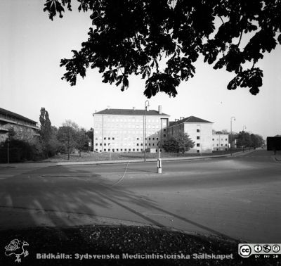 Institutionen för bakteriologi och patologi 1957
Pärm äldre neg. 1951-1958 MAS, från fotograf Björn Henrikssons samling. Påskrift: "Bakteriolog, exteriör, 16/6-57". Från negativ
Nyckelord: UMAS;MAS;Malmö;Bakteriologisk;Patologisk;Institution;Allmänna;Sjukhus