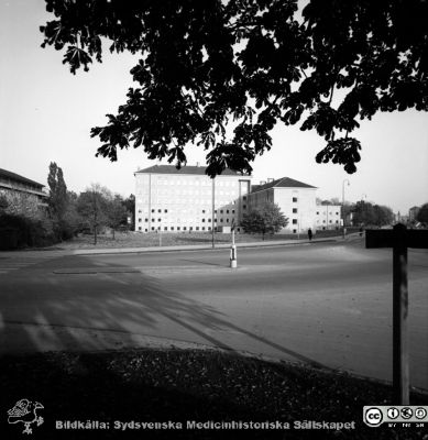 Institutionen för bakteriologi och patologi 1957
Pärm äldre neg. 1951-1958 MAS, från fotograf Björn Henrikssons samling. Påskrift: "Bakteriolog, exteriör, 16/6-57". Från negativ
Nyckelord: UMAS;MAS;Malmö;Allmänna;Sjukhus;Patologisk;Bakterilogisk;Institution