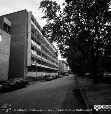 Malmö Allmänna Sjukhus 1983. Långa Raden
Album 1983-1984 i fotograf Björn Henrikssons samling. Byggnader, MAS, 1983. Exteriör, Långa Raden. Från negativ
Nyckelord: UMAS;MAS;Malmö_;Allmänna;Sjukhus;Långa Raden
