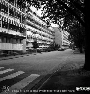 Malmö Allmänna Sjukhus 1983. Långa Raden
Album 1983-1984 i fotograf Björn Henrikssons samling. Byggnader, MAS, 1983. Exteriör, Långa Raden. Från negativ
Nyckelord: UMAS;MAS;Malmö_;Allmänna;Sjukhus;Långa Raden