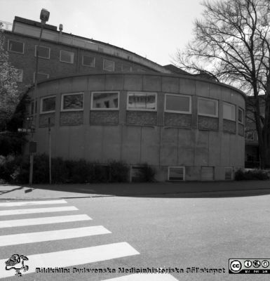 Malmö Allmänna Sjukhus 1995, aulan från 1950-talet
Album MAS 1995 III (59-110) i fotograf Björn Henrikssons samling. 95-3-73. Aulan på Malmö Allmänna Sjukhus från 1950-talet. Exteriör. Från negativ
Nyckelord: UMAS;MAS;Malmö_;Allmänna;Sjukhus;Medicin;Aula