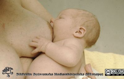 Baby vid ammande mammas bröst 1979
Ur låda med blandade diabilder från sjukhusfotograferna i Lund, 1970-, 1980- och 1990-talen. 
Nyckelord: Lund;Lasarett;Universitet;Universitetssjukhus;Barn;Amning;Baby;Amma;Ammande