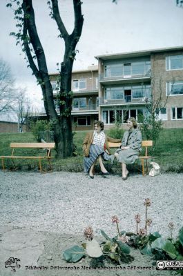 Ögonkliniken i Lund i mitten av 1900-talet, senast 1967
Ur låda med blandade diabilder från sjukhusfotograferna i Lund, 1970-, 1980- och 1990-talen. Bild utan påskrift, i gammal Agfa helglasram. Vy från parken söder om ögonkliniken, som stod färdig 1942. Det ursprungliga baldakintaket som sköt ut åt väster (vänster i bilden) över gatan har tagits bort. Centralblocket har ännu inte börjat byggas. Foto från mitten av 1900-talet, rimligen mitten på 1960-talet och senast 1967.
Nyckelord: Lasarett;Lund;Universitetssjukhus;Klinik;gon;Oftalmologi;Oftalmiatrik
