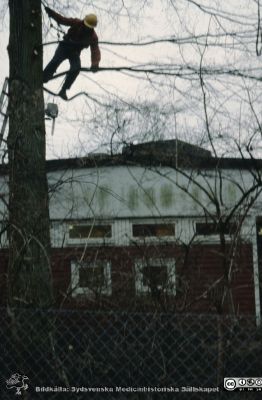 Röjning 1990 vid barndaghemet "Röda Stugan" inför bygget av nya strålbehandlingshuset
Träd fälldes och barndaghemmet "Röda Stugen" för universitetssjukhusets personal revs 1990 för att ge plats för en utbyggnad av radiologiska kliniken västerut. Byggnaden flyttades till tomten vid ögonkliniken B.
Nyckelord: Lund;Lasarett;Universitet;Universitetssjukhus;Barndaghem;Arborist;Trädfällning