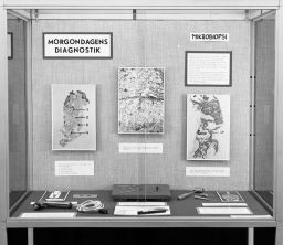 Filnamn=SMHS13610Copp.jpg
Filstorlek=167KiB
Dimensioner=1024x891
Uppladdade datum=15 Feb 2015 SMHS13610Copp.jpg