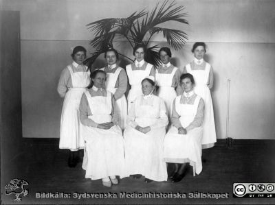 Sköterskor och biträden på ögonkliniken i Lund i mitten på 1920-talet
Sköterskor och biträden på ögonkliniken i Lund i mitten på 1920-talet. Ur ett album gjort för professor Gustaf Ahlström till hans pensionering 192X.
Nyckelord: Ögon;Klinik;Lasarettet i Lund;Medicnska fakulteten;Sjuksköterskor;Sjukvårdsbiträden;Personal