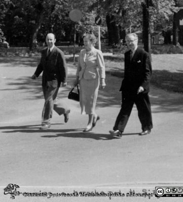 Ögonläkarmöte i Lund 4/6 - 5/6 1955
Stig Kronning tillsammans med Henrik Sjögren med fru. Foto vid universitetsbiblioteket, rimligen på väg tillbaka till ögonkliniken efter lunch på Akademiska Föreningen eller i matsalen på södra lasarettsområdet. Ur Paul Enokssons fotoalbum. Fil 980407i.tif.
Nyckelord: _Ögon;_Ögonkliniken;_Ögonläkare;Lunds universitet;Lasarettet i Lund;Medicinska fakulteten;Nordiskt;Lunch