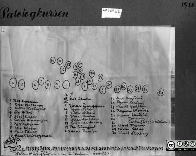 AF00966 Bilderbok 9, 1916-17. Patologkursen, 1916. 
AF00966 Bilderbok 9, 1916-17. Patologkursen, 1916. Nyckel till personerna i bild AF00966
1. Prof. John Forssman, 2. Bror Wahlgren, 3. Vaktm. Rosenqvist, 4. Åke Wilton, 5. Adolf Rappe, 6. Sixten Hemmingson, 7. Rolf Hallgren, 8. Åke Åkesson, 9. Hans Silwer, 10. Hans Christoffersson, 11. Vanför medicinare efter barnförlamning. Gick med käpp och släpande ben. Namnet bortglömt av alla [Lindaus uppgift], 12. Eric Laurin, 13. Einar Ljunggren, 14. Egon Norén, 15. Viktor Nilsson, 16. Edvard Thulin, 17. Assar Henrickius (Hellichius?), 18 Gunnar Harner, 19. Per Blomqvist, 20. Hans Ralston, 21. Axel Bergstrand, 22. Ragnar Trotzig, 23. Arnold Gahrton, 24. Ragnar Olinder, 25. Hanna Lundblad, 26.NN Tonning, 27. NN (John?) Castenfors (f.d. Mårtensson), 28. Alfred Flaum, 29. Torsten Skoog, 30. Edvard Åkerberg.
Nyckelord: Patologi;Kurs;Medicinska fakulteten;Lunds universitet