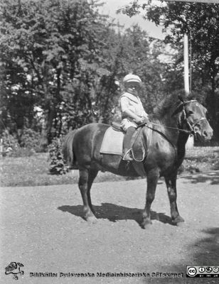 Liten pojke till häst
Bild 74 i husmor Anna Landelius (1880-1964) efterlämnade fotoalbum. Ingrid Frennhoff (f. 1944) hade övertagit detta album efter sin morfar som i sin tur tagit hand om det efter sin syster husmor Anna på Lasarettet i Lund. Detta album är en gåva från Ingrid Frennhoff till Sydsvenska Medicinhistoriska Sällskapet nyåret 2020.
Kanske på Anna Landelius fädernegård Jakobslund i Ljungsbro?
Nyckelord: Barn;Ridning;Häst;Lantgård