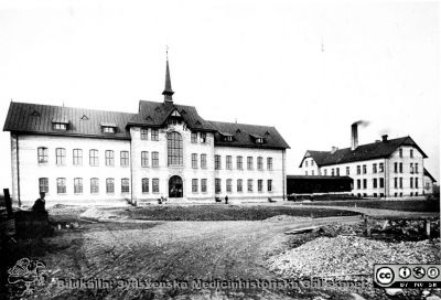 Omärkt reprofoto. Malmö Allmänna Sjukhus, nybyggt 1896. Till höger intendenturhuset med tvätt, textilförråd och panncentral.
Foto från samling funnen på vinden på KK i Lund hösten 2016 och tillvaratagen av sekreteraren Elisabet Gyllander där i samband med att hon gick i pension och överlämnat den till Sydsvenska Medicinhistoriska Sällskapet. 

Nyckelord: Malmö;Allmänna;Sjukhus;MAS;Nybyggen;Intendenturhsu;Tvätt;Textilförråd;Panncentral