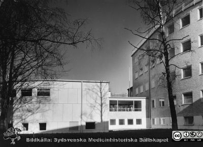 Nya universitetshuset 1954.
Påskrift: Universitetshuset 1954.
- Till vänster den nya aulan och till höger laboratorieflygeln av den medicinska kliniken.
Foto från samling funnen på på vinden på KK i Lund hösten 2016 och tillvaratagen av sekreteraren Elisabet Gyllander där i samband med att hon gick i pension och överlämnat den till Sydsvenska Medicinhistoriska Sällskapet där hon tyckte bilderna hörde bättre hemma.
Nyckelord: Malmö;Allmänna;Sjukhus;Universitetssjukhus;Föreläsningssal;Aula;Medicinsk;Klinik;Kliniskt;Kemiskt;Laboratorium