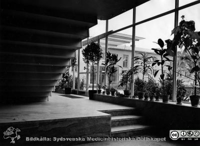 Aulans entré i nya universitetshuset 1954.
Påskrift: Universitetshuset 1954.
- Entrén med inre trappa till den nya aulan vid den medicinska kliniken.
Foto från samling funnen på på vinden på KK i Lund hösten 2016 och tillvaratagen av sekreteraren Elisabet Gyllander där i samband med att hon gick i pension och överlämnat den till Sydsvenska Medicinhistoriska Sällskapet där hon tyckte bilderna hörde bättre hemma.
Nyckelord: MAS;Malmö;Medicinsk;Allmänna;Aula;Sjukhus;Universitetssjukhus