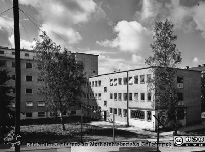 Univrsitetshuset 1954. Nya medicinska kliniken med kliniskt kemiskt laboratorium och sjukhusapotek.
Påskrift: Univrsitetshuset 1954..
Nya medicinska kliniken med kliniskt kemiskt laboratorium och sjukhusapotek.
Foto från samling funnen på på vinden på KK i Lund hösten 2016 och tillvaratagen av sekreteraren Elisabet Gyllander där i samband med att hon gick i pension och överlämnat den till Sydsvenska Medicinhistoriska Sällskapet där hon tyckte bilderna hörde bättre hemma.
Nyckelord: MAS;Malmö;Allmänna;Sjukhus;Medicinsk;Aula;Klinik;Kliniskt;Kemiskt;Laboratorium;Apotek