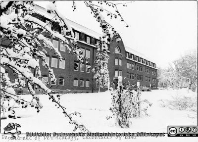 Lasaettet. Lund. Hudhuset 
Lasaettet. Lund. Hudhuset ("Gamla Medicinen") en snörik vinterdag, troligen på 1970-talet.Text längs bilden nedeerkant: "Department of Dermatologhy, University of Lund". Fönstren har ännu inte fått tillbaka sina ursprungliga spröjsar, vilka togs bort vid renovering c:a 1970. Fotograf okänd.
Nyckelord: medicinsk;Klinik;Lund;Universitetssjukhus;USiL;Hudklinik;Hudhuset