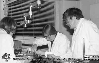 Gert Andersson, senare överläkare i klinisk neurofysiologi i Lund med två laboratorieassistenter.
Fysiologiska Institutionen i Lund. Bildkälla: preparator Olle Hammar. 1970-80-talet. Gert Andersson, senare överläkare i klinisk neurofysiologi i Lund, och två laboratorieassistenter.
Nyckelord: Fysiologiska Institutionen;Medicinska fakulteten;Universitetet i Lund;Djurförsök