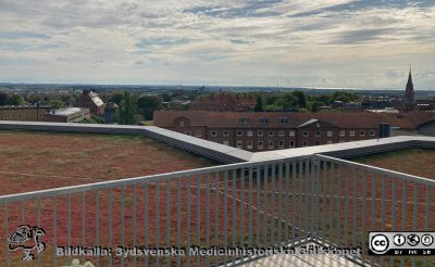 Inför invigningen av Forum Medicum i Lund. 
Utsikt söderut från takterrassen. Wigerthuset närmast kameran. Till vänster Geocentrum vid Sölvegatan. Domkyrkan anas på horisonten. Allhelgonakyrkans torn till höger. Foto Lars Malm 2023-08-30.
Nyckelord: Forum Medicum;Medicinska fakulteten;Lunds universitet;Invigning;Forskning;Utbildning;Institutioner;Allhelgonakyrkan;Domkyrkan