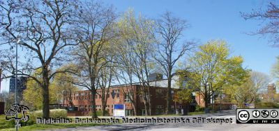 LTH Studiecentrum och bibliotek
LTH Studiecentrum och bibliotek vid Tekniska Högskolan i Lund (LTH), John Ericssons väg. Foto 2020-04-26, Berndt Ehinger
Nyckelord: Lunds universitet;Lunds Tekniska Högskola;LTH;Vårsol;Knoppningstid