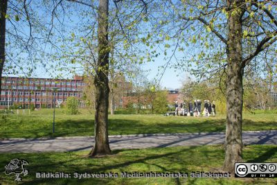 Teknologerna leker i parken vid Lunds Tekniska Högskola en solig vårdag
Parken vid Lunds Tekniska Högskola en vårdag i knoppningstid 2020-04-26. Vårystra teknologer leker i den. Foto Berndt Ehinger.
Nyckelord: Parkmark;Lunds Tekniska Högskola;Lunds universitet;Leklust;Vårlek;Vårsol