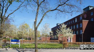 Lunds Tekniska Högskola. Vårblomning vid E-huset. 
Foto 2020-04-26, Berndt Ehinger.
Nyckelord: Lunds Tekniska Högskola;Lunds universitet;LTH;Vårsol;Knoppning;Knoppningtid;Vårblomning