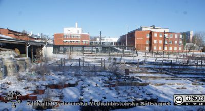 Genetiska institutionens odlingsgård med spårvägen och biologihuset i bakgrunden.
Genetiska institutionens odlingsgård med spårvägen och biologihuset i bakgrunden. Foto i februari 2021, Berndt Ehinger.
Nyckelord: Biologihuset;Lunds Tekniska Högskola;Genetisk institution