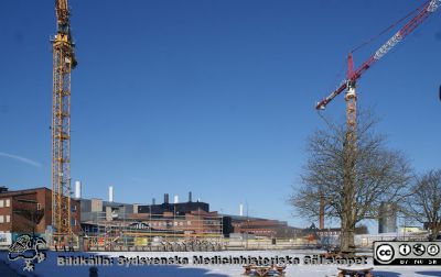 Forum Medicum har just börjat byggas i norra änden av Sölvegatan i Lund. 
Huset kommer att bli ett stort komplex, sammanbyggt med Biomedicinskt Centrum (BMC) i bakgrunden Byggkranarna antyder att det blir högt. Fem våningar planeras.
Nyckelord: Forum Medicum;Biomedicinskt Centrum;Lunds universitet;Akademiska Hus;Medicinska fakulteten;Bygge