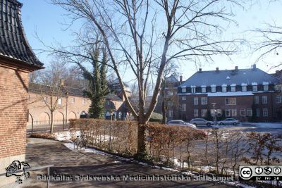 Fasad åt väster på gamla kirurgiska klinikens norra del. 
Husetrymmer nu Centrum för genusvetenskap.
Foto från gamla lasarettskökets trappa. Det huset rymmer nu verksamheter från humanistiska och teologiska fakulteten.
Nyckelord: Gamla kirurgiska kliniken i Lund.