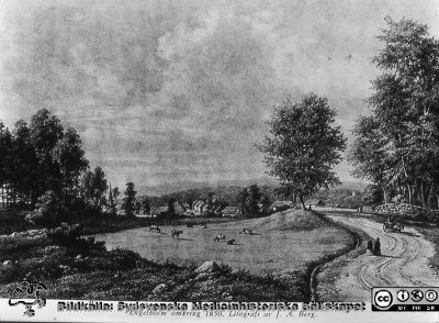 Ängelholm omkring 1850. Litografi av J. S. Berg.
Ängelholm omkring 1850. Litografi av J. S. Berg. Sjukhuset kommer senare att byggas ungefär mitt i bilden. 
Jämför med målningen i bildfil DSC07640p. Bildkälla: Lillie Börjessons bildsamling från Ängelholms sjukhus.
Nyckelord: Ängelholm;Engelholm;Sjukhus;Litografi;Landskap