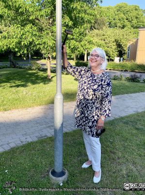 Britta Stenstam vid Sydsvenska Medicinhistoriska Sällskapets årsmöte den 10 juni 2021. 
Med anledning av Covid-19-pandemin förskjöts årsmötet 2021 till den 10 juni och avhölls utomhus i parken utanför Livets Museum med en välvaccinerad men gles skara medlemmar. Kvällen var ljummen, vindstilla och vacker. Ordföranden Britta Stenstam demonstrerar hur hon öppnade mötet genom att slå ordförandeklubban i stolpen till en gatlykta. Klangen genljöd vackert och effektivt.Guiderna hade förberett goda snittar och bubbel för ett mingel efteråt, och det skedde i parken.
Nyckelord: SMHS;Årsmöte;Pandemitid;Livets Museum;Sydsvenska Medicinhistoriska Sällskapet