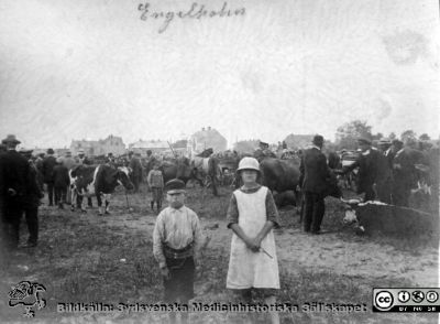 Kreatursmarknad i Ängelholm på tidigt 1900-tal.
Engelholm, kreatursmarknad. Okänd pojke. Möjligen Margit eller Elsa Hultén.
Ur ett fotoalbum gjort av Johannes Hultén (1873-1951), verkmästare (elektricitet och röntgen) på Lasarettet i Lund. Bildkälla dotterdottern Viveka Rasmusson 2018.
Nyckelord: Kreatursmarknad;ngelholm