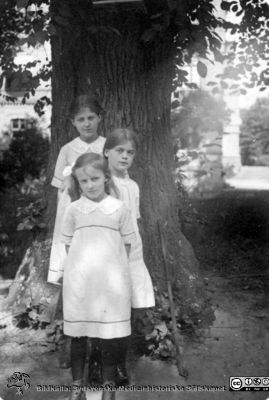 Elsa Hultén överst, kusin Signe i mitten, Margit Hultén underst, 9 år, i Bromölla. Foto c:a 1915.
Fotografens döttar och ett syskonbarn. 
Elsa Hultén överst, kusin Signe i mitten, Margit Hultén underst, 9 år, i Bromölla. Foto c:a 1915.
Ur ett fotoalbum gjort av Johannes Hultén (1873-1951), verkmästare (elektricitet och röntgen) på Lasarettet i Lund. Bildkälla dotterdottern Viveka Rasmusson 2018.
Nyckelord: Verkmästare;Lasarett;Lund;Fotograf;Barn;Kusiner