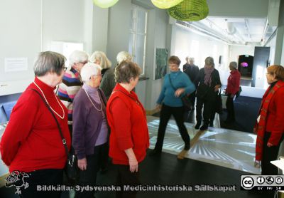 Besökare på Livets museum i Lund 2013
Besökande grupp, guidad av Ingegerd Richardsson längst till höger, vid väggen.
Nyckelord: Besökare;Livets Museum;Lund;Sinnesorganen