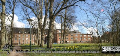 Helgonabacken bakom UB en vårsöndag. Foto 22 mars 2020.
Helgonabacken bakom UB en vårsöndag. Reumatologiska kliniken i bakgrunden. Borta till höger i bakgrunden ursprungliga zoologiska institutionen, numera institutionsbyggnaden Lux med diverse humaniora i.
Nyckelord: Helgonabacken;Reumatologiska kliniken;Zoologisk institution;Filosofihuset LUX