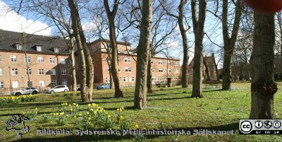 Helgonabacken bakom UB en vårsöndag. Foto 22 mars 2020.
Helgonabacken bakom UB en vårsöndag. Reumatologiska kliniken i bakgrunden. Till höger i bakgrunden ursprungliga zoologiska institutionen, numera institutionsbyggnaden Lux med diverse humaniora i.
Nyckelord: Helgonabacken;Reumatologiska kliniken;Zoologisk institution;LUX;Institutionsbyggnad för filosofi