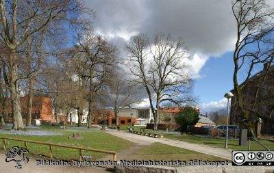 Skissernas museum bortom parken vid UB i Lund
Nyckelord: Museum;Universitetsbibliotek;Park;Restaurang;Biskopshus