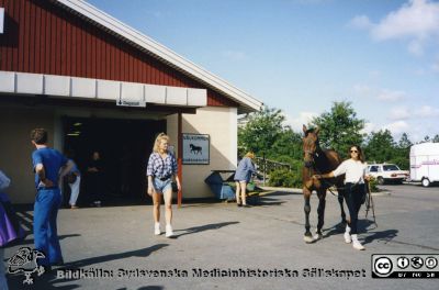 Ortopediska kliniken i Lund 1992 Studebesök på Stordjurskliniken i Helsingborg.
Från ortoped klin album 01, Lund. Fotograf Berit Jakobsson. 1992 Studebesök på Stordjurskliniken i Helsingborg.
Nyckelord: Lund;Universitetssjukhus;USiL;Kliniker;Ortopedi;Vård;Studiebesök;Djursjukhus