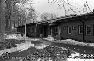 Vårdskolan i Ystad
Lasarettsfotograferna i Lund,  pärm  Sv/v Negativ, 1985. 21/85. Vårdskolan i Ystad. Från negativ
Nyckelord: Lasarettet;Lund;Vårdskola;Ystad;Entr;MLL;Landsdting;Läns;Malmöhus