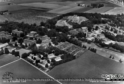 Flygfoto av St Lars sjukhus i Lund
Lundbystudien 1947-1997. Flygfoto av St Lars sjukhus i Lund, Västra Sjukhuset närmast kameran. En kort bit av gamla Malmövägen syns uppe i bildens högra hörn. Den är smal, och knappast ännu omgjord till anslutningsväg till motorvägen. Bild frigiven av försvarsstaben 1956, enligt påskrift i bilden. Foto alltså c:a 1955. Bildkälla Per Nettelbladt 2016.
Nyckelord: St;Sankt;Lars;Mentalsjukhus;Sinnessjukhus;Lund