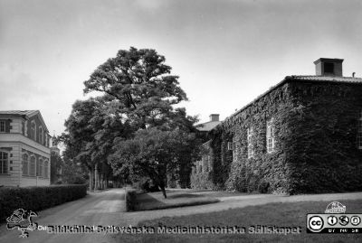 St Lars sjukhus i Lund
Bilder från Lundbystudien 1947 - 1997. St Lars sinnessjukhus i Lund. Nervavdelningen på Östra sjukhuset; kanske i mitten på 1900-talet? Tiden stod stilla här hela seklet fram till sista decennierna. Biildkälla Per Nettelbladt 2016.
Nyckelord: Sankt;St;Lars;Sinnessjukhus;Mentalsjukhus;Lund;Psykiatrisk;Klinik