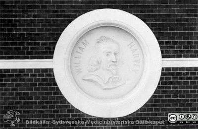 William Harvey-reliefen på den första ("gamla") Fysiologens fasad mot norr
Fysiologiska institutionen i Lund. Bildkälla: preparator Olle Hammar. William Harvey-reliefen på den första ("gamla") Fysiologens fasad mot norr, på Biskopsgatan. Byggnaden blev histologisk institution till mitten på 1950-talet, och senare bibliotek inom filosofiska fakulteten.
Nyckelord: Fysiologisk;Institution;Lund;Universitet;Medicinsk;Fakultet;Filosofisk