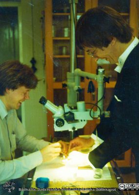 Anders Arner och Bengt Uvelius på fysiologiska institutionen i Lund 1980. 
Anders Arner och Bengt Uvelius på fysiologiska institutionen i Lund 1980. Bildkälla Bengt Uvelius.Våren 1980. Efter promoveringen i domkyrkan cyklar Bengt Uvelius upp till fysiologen och hjälper Anders Arner med någon dissektion, fortfarande iförd frack.
Nyckelord: Fysiologiska;Institutionen;Lunds Universitet;Fakultet;Medicinsk