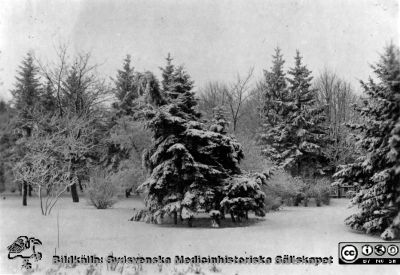 Bilder från histologiska avdelningen på anatomiska institutionen i Lund år 1923
Fotoalbum märkt 1923 på första bladet. Det innehåller bilder från dåvarande histologiska avdelningen 
på anatomiska institutionen i Lund på Biskopsgatan 7. Bildtext: Institutionen och parken. Bildkälla Stiftelsen Locus Medicus Lundensis 250317. Fotograf okänd.
Nyckelord: Histologiska avdelningen;Anatomiska Institutionen;Medicinska fakulteten i Lund;Locus Medicus Lundensis;Lunds universitet;Stiftelse