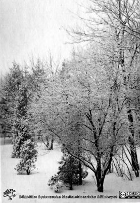 Bilder från histologiska avdelningen på anatomiska institutionen i Lund år 1923
Fotoalbum märkt 1923 på första bladet. Det innehåller bilder från dåvarande histologiska avdelningen på anatomiska institutionen i Lund på Biskopsgatan 7. Bildtext: Institutionen och parken. Bildkälla Stiftelsen Locus Medicus Lundensis 250317. Fotograf okänd.
Nyckelord: Histologiska avdelningen;Anatomiska Institutionen;Locus Medicus Lundensis;Stiftelse;Medicinska fakulteten i Lund;Lunds universitet
