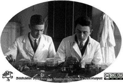 Fotoalbum tillägnat Professor Torsten Hellman Från Tacksamma Lärjungar 3.4.1924. 
Fotoalbum tillägnat Professor Torsten Hellman Från Tacksamma Lärjungar 3.4.1924. 
Bildtext: "Einar Thorfinn, Curt Carlssoni". De tycks syssla med att färga objektsglas för mikroskopi.
Nyckelord: Histologiska avdelningen;Anatomiska Institutionen;Medicinska fakulteten i Lund;Locus Medicus Lundensis;Preparattillverkning