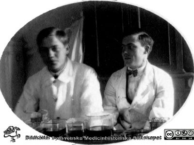 Fotoalbum tillägnat Professor Torsten Hellman Från Tacksamma Lärjungar 3.4.1924. 
Fotoalbum tillägnat Professor Torsten Hellman Från Tacksamma Lärjungar 3.4.1924. Bildtext: "Sten Hellberg, Egon Ydén". De tycks färga objektsglas i en hållare av glas som doppas i glasvannor med olika färgvätskor.
Nyckelord: Histologiska avdelningen;Anatomiska Institutionen;Medicinska fakulteten i Lund;Universitet;Locus Medicus Lundensis;Objektsglasfärgning