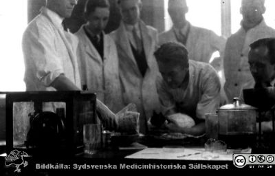 1928 års kurs i histologi i Lund
Fotoalbum märkt Histologikursen anno 1928. 
Detta album innehåller bilder från dåvarande histologiska avdelningen på anatomiska institutionen i Lund på Biskopsgatan 7. Liksom de övriga i serien skapades det av kursdeltagarna och tillägnades kursledaren, professor Torsten Hellman, som uppskattning av hans lärargärning. Bildtext  från vänster "Helge Åkesson Valter Pålsson, Fredrik Koch, Assar Olsson, Göran Nilsson och Tage Arvidsson". Bilden visar troligen anestesi av ett försöksdjur att ta vävnadsprover från, troligen en katt.
Bildkälla Stiftelsen Locus Medicus Lundensis 250317.
Nyckelord: Locus Medicus Lundensis;Medicinska fakulteten i Lund;Histologiska avdelningen;Sydsvenska Medicinhistoriska Sällskapet;SMHS;Anatomiska Institutionen;Studenter;Lärare