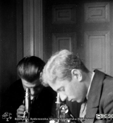 1928 års kurs i histologi i Lund
Fotoalbum märkt Histologikursen anno 1928. 
Detta album innehåller bilder från dåvarande histologiska avdelningen på anatomiska institutionen i Lund på Biskopsgatan 7. Liksom de övriga i serien skapades det av kursdeltagarna och tillägnades kursledaren professor Torsten Hellman som uppskattning av hans lärargärning. Bildtext nedanför: "Martin Johansson, Albin Larsson".  Foto vid kursmikroskop.
Bildkälla Stiftelsen Locus Medicus Lundensis 250317.
Nyckelord: Locus Medicus Lundensis;Medicinska fakulteten i Lund;Histologiska avdelningen;Sydsvenska Medicinhistoriska Sällskapet;SMHS;Anatomiska Institutionen;Studenter;Lärare