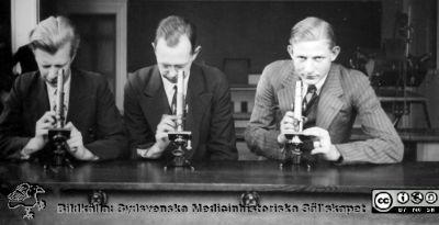 Fotoalbum "Kursen i histologi H T 1932.
Fotoalbum "Kursen i histologi H T 1932". Bildtext: "Nyström, Herbert Andersson, Alvar Persson". Troligen medicine studerande vid  kursmikroskop på histologiska avdelningens mikroskoperingssal på anatomiska institutionen i Lund. 
Bildkälla stiftelsen Locus Medicus Lundensis och Sydsvenska Medicinhistoriska Sällskapet / SMHS. Fotograf okänd.
Nyckelord: Medicine studerande;Histologiska avdelningen;Anatomiska Institutionen;Medicinska fakulteten i Lund;Locus Medicus Lundensis;Universitetet i Lund