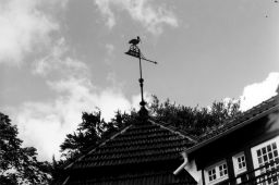 Filnamn=160227-05Copp.jpg
Filstorlek=89KiB
Dimensioner=1024x682
Uppladdade datum=04 Mar 2016 160227-05Copp.jpg