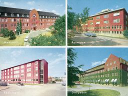 Filnamn=BE180506-009Copp.jpg
Filstorlek=201KiB
Dimensioner=1024x769
Uppladdade datum=06 Jun 2018 BE180506-009Copp.jpg