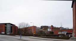Filnamn=DSC02461pCopp~0.jpg
Filstorlek=61KiB
Dimensioner=1024x550
Uppladdade datum=30 Apr 2018 DSC02461pCopp~0.jpg